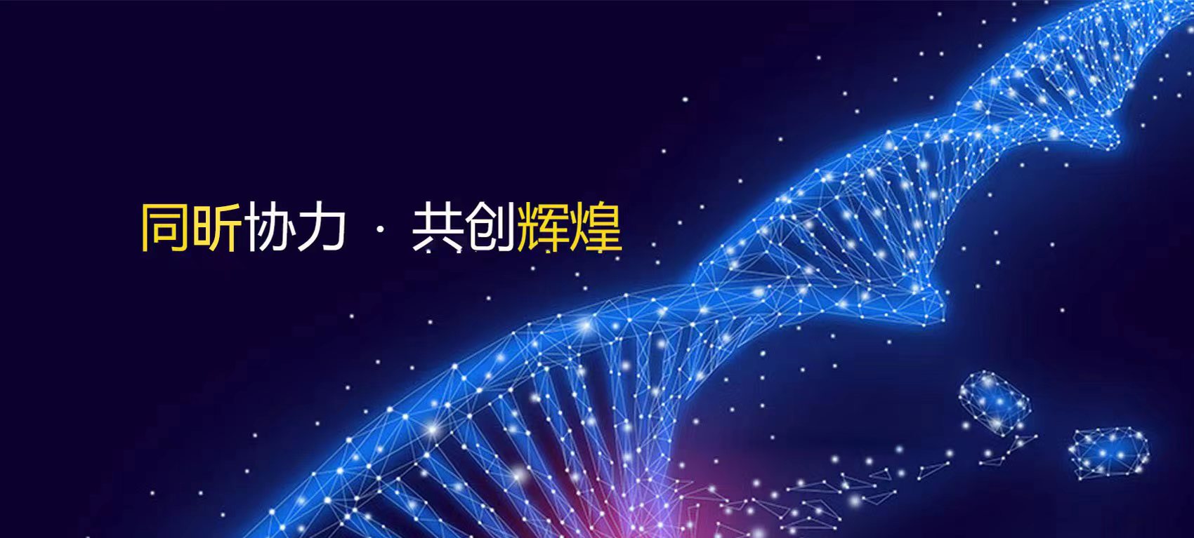 祝贺！百洋生物诊断同昕生物入选「北京市2022年第二批科技型中小企业」名单